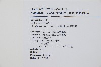 台灣桫欏藏品圖，第2張