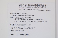 過山龍藏品圖，第2張