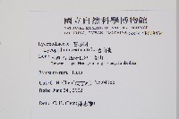 過山龍藏品圖，第2張