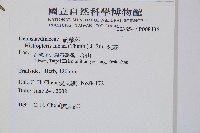 栗蕨藏品圖，第2張