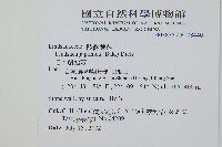 日本鱗始蕨藏品圖，第2張