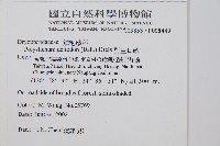 臺灣耳蕨藏品圖，第2張