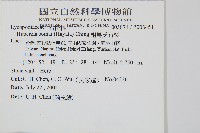 相馬氏石杉藏品圖，第5張