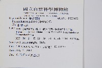 軟骨耳蕨藏品圖，第2張