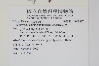 瓦葦藏品圖，第2張