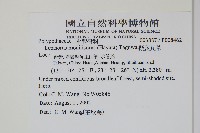 擬芨瓦葦藏品圖，第2張