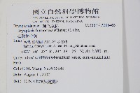 臺灣鱗毛蕨藏品圖，第2張