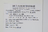 麟瓦葦、川上氏瓦葦藏品圖，第2張