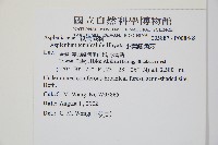 小葉鐵角蕨藏品圖，第2張