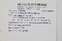 宿蹄蓋蕨藏品圖，第2張