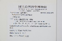 鐵角蕨藏品圖，第2張