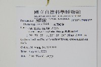 日本鳳尾蕨藏品圖，第2張