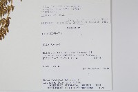 登錄號:P008483藏品圖，第2張