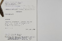 登錄號:P008484藏品圖，第2張