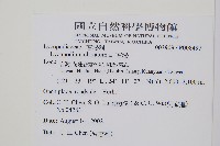 石松藏品圖，第2張