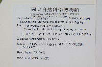 粵瓦葦藏品圖，第2張