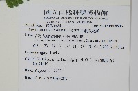 有刺鳳尾蕨藏品圖，第2張