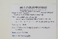 扇蕨藏品圖，第2張