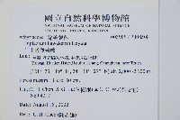 川上氏雙蓋蕨藏品圖，第5張