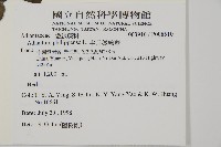 半月形鐵線蕨藏品圖，第2張