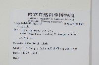 登錄號:P008514藏品圖，第2張