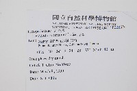 過山龍藏品圖，第2張