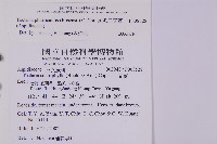 蛇脈三叉蕨藏品圖，第5張