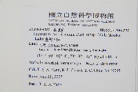 臺灣木賊藏品圖，第2張
