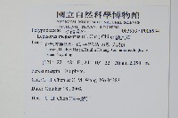 麟瓦葦、川上氏瓦葦藏品圖，第2張