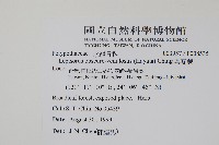 擬芨瓦葦藏品圖，第2張