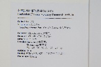 小葉海金沙藏品圖，第2張