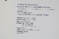 華東膜蕨藏品圖，第2張