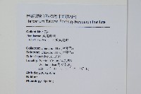 大葉鳳尾蕨藏品圖，第2張