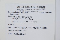 小葉複葉耳蕨藏品圖，第2張