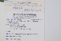 羽葉鱗蓋蕨藏品圖，第2張