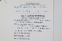 登錄號:P008562藏品圖，第2張