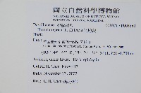 陰石蕨藏品圖，第2張