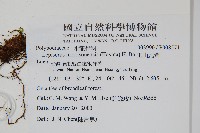 麟瓦葦、川上氏瓦葦藏品圖，第2張