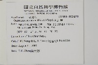 地耳蕨藏品圖，第5張