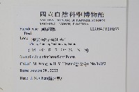 登錄號:P008577藏品圖，第2張