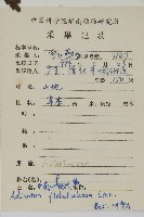 扇葉鐵線蕨藏品圖，第2張