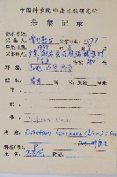 金狗毛蕨藏品圖，第2張