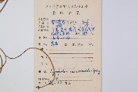 木賊葉石松藏品圖，第2張