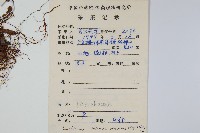 粵瓦葦藏品圖，第2張