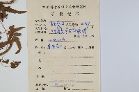 登錄號:P008599藏品圖，第2張