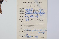 東方狗脊蕨藏品圖，第2張