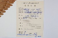 日本狗脊蕨藏品圖，第2張