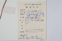 密毛毛蕨藏品圖，第2張