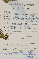 中華裏白藏品圖，第2張