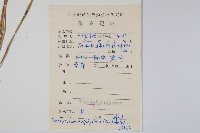 新月蕨藏品圖，第2張